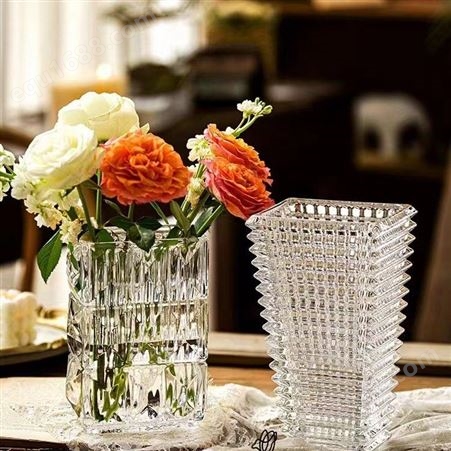 水晶玻璃花瓶 高档轻奢网红款 摆件客厅插花瓶 风透明水养仿真鲜花瓶