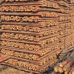亿展木业 园林 绿化杆杉木桩 水利工程打桩木 河道护堤