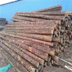 亿展木业 杉木桩供应 打桩木 杉木原木 园林绿化杉木杆
