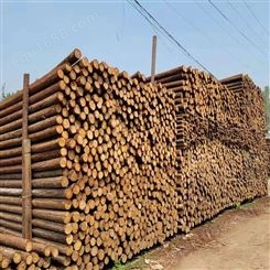亿展木业 杉木杆杉木桩 园林绿化支树木支撑杆 工地河道打桩木支撑架