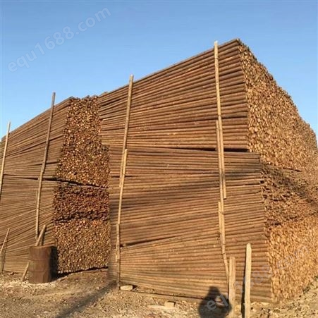 亿展木业打桩木 河道木桩防腐浸泡杉木材质打桩原木 木材加工厂