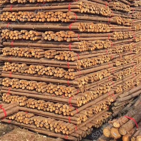 亿展木业 绿化河道 削尖木桩 自有林场 绿化优质木材