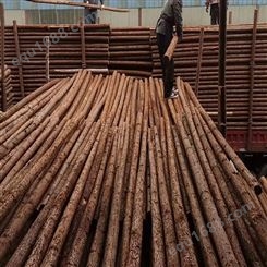 亿展木业 园林 杉木桩 可塑性能较高 自有林场可加工