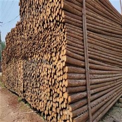 亿展木业 杉木桩 松木桩 河道打桩木护坡防汛加固绿化支撑杆水利工程