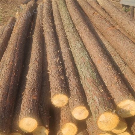 亿展木业 杉木桩批发 园林绿化杆杉木 桩 水利工程打桩木 